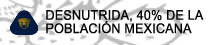 DESNUTRIDA, 40% DE LA 

POBLACIN MEXICANA