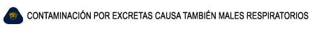 CONTAMINACIN POR EXCRETAS CAUSA TAMBIN MALES RESPIRATORIOS