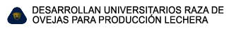 DESARROLLAN UNIVERSITARIOS RAZA DE 

OVEJAS PARA PRODUCCIN LECHERA