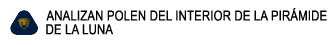 ANALIZAN POLEN DEL INTERIOR DE LA PIRMIDE 

DE LA LUNA