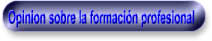 Opinion sobre la formacin profesional 