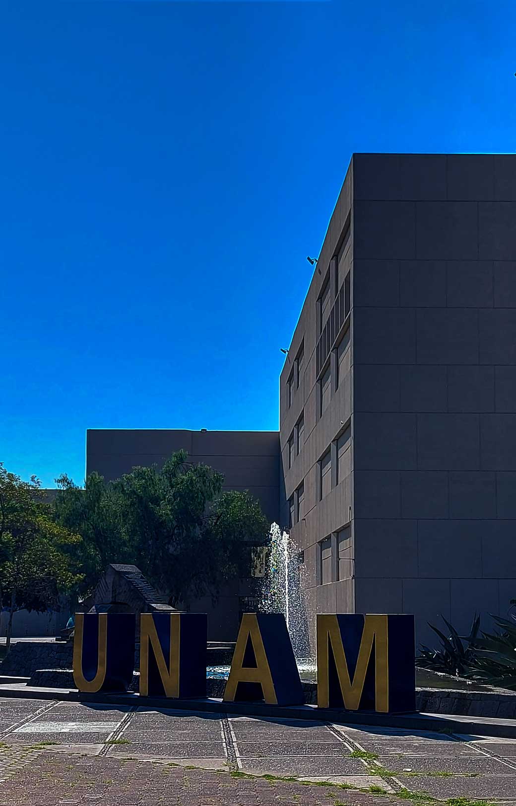 Fotografía: Universum, Ciudad Universitaria / Martha Nava