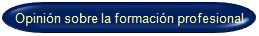 Opinion sobre la formacin profesional 